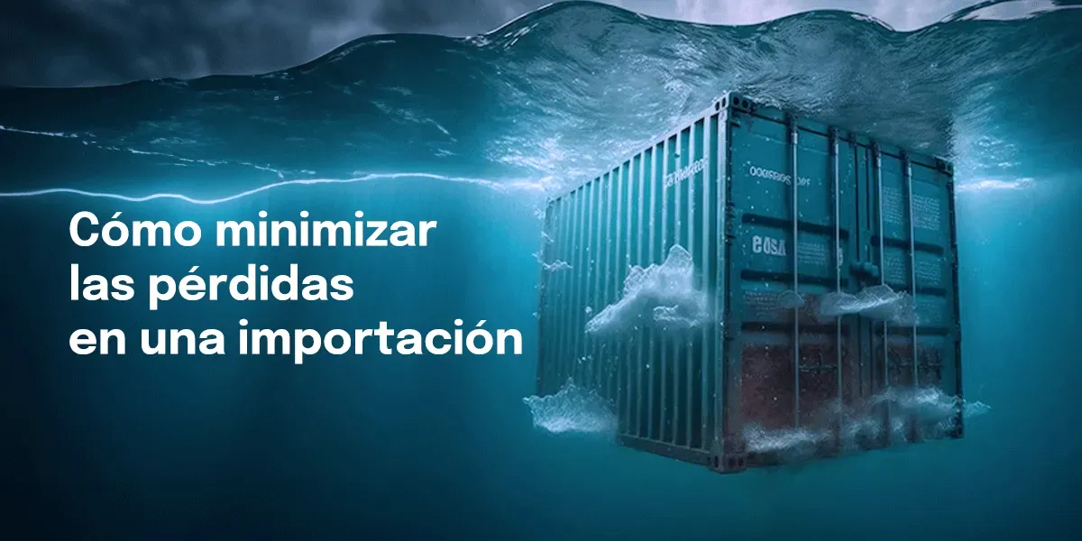 Estrategias Efectivas para Minimizar Pérdidas en el Proceso de Importación